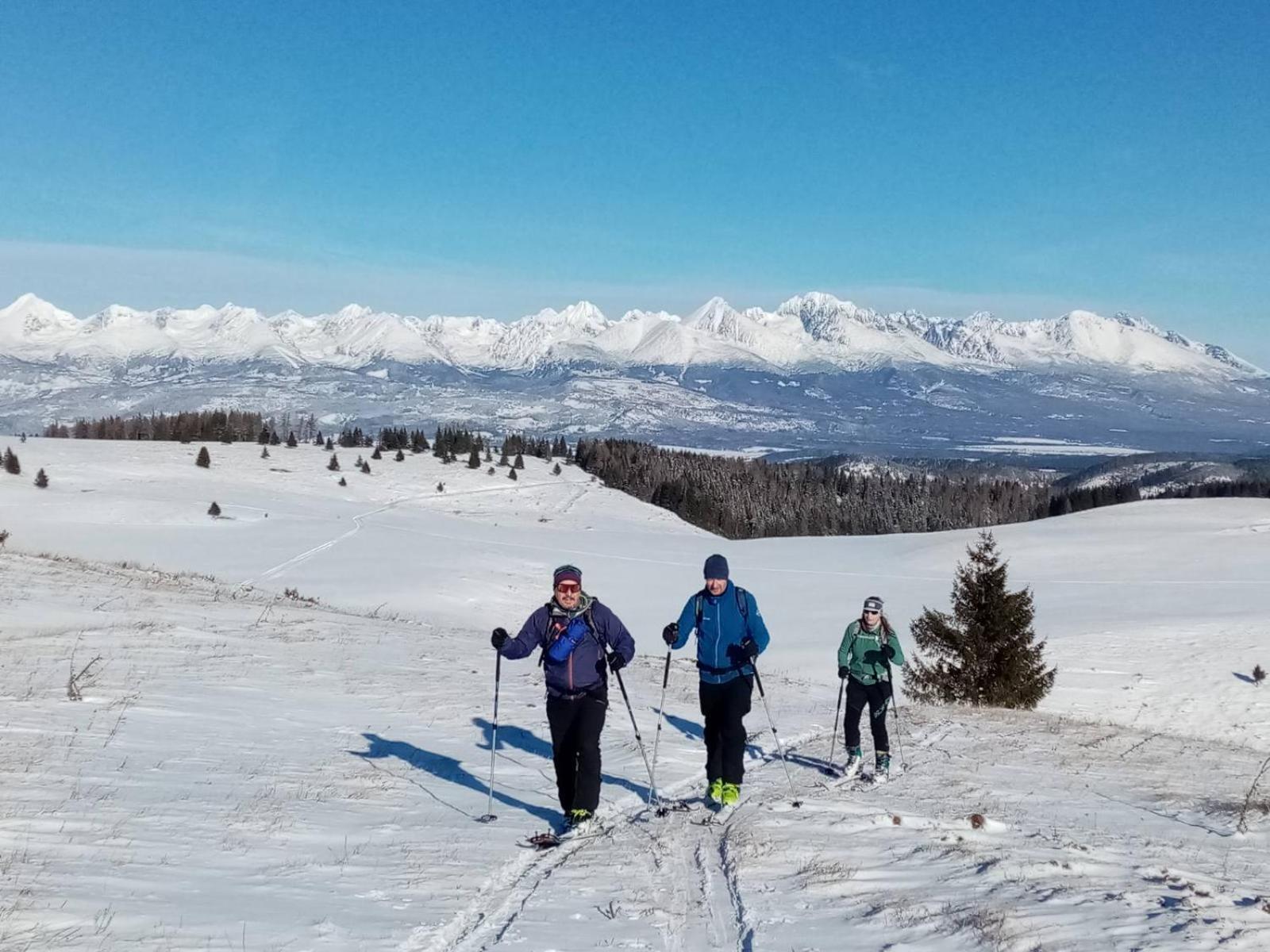 Penzion Plesnivec Poprad Buitenkant foto